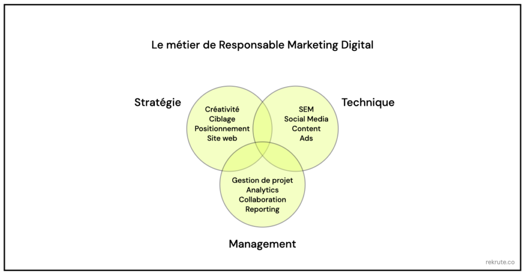 profil responsable marketing digital